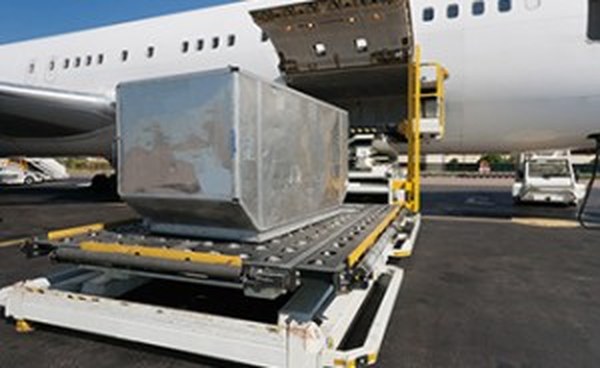 Transporte y Distribución de Alimentos